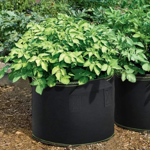 Garden Grow Bag