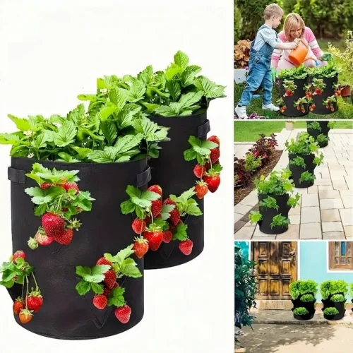 Vegetable growing bag being used by people and shown off