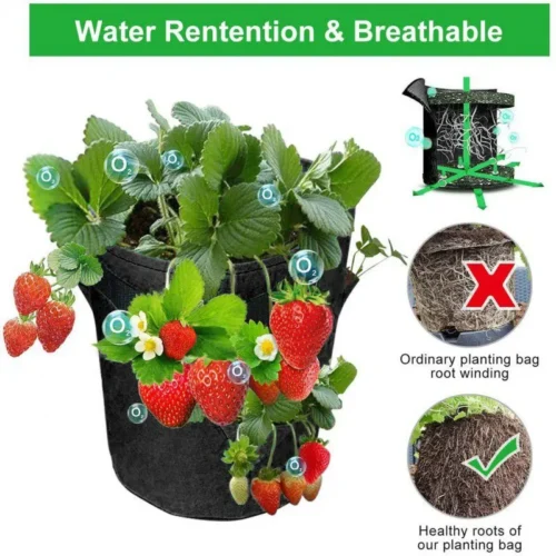 Vegetable growing bag how it works