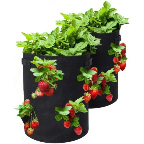 Vegetable growing bag with strawberries