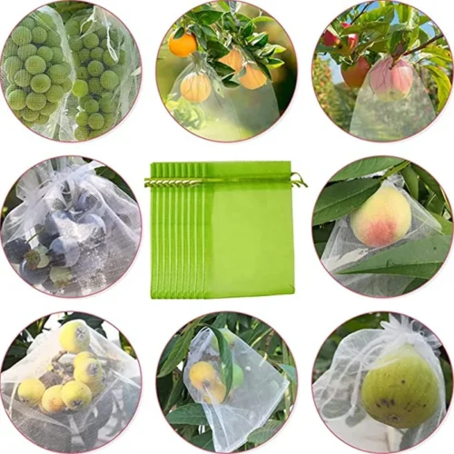 Non-woven fruit protection bags being used