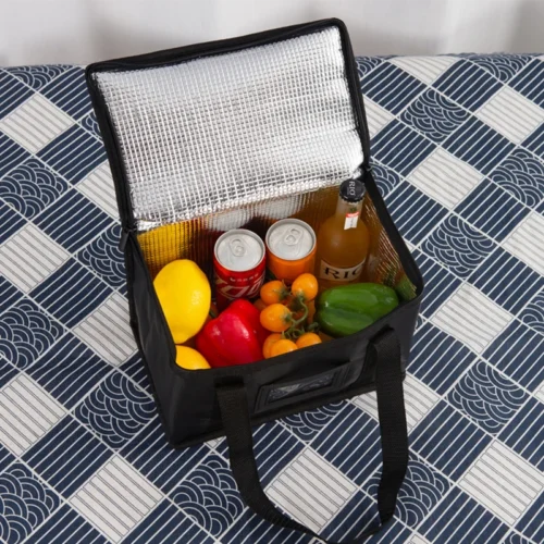 Insulated picnic cooler