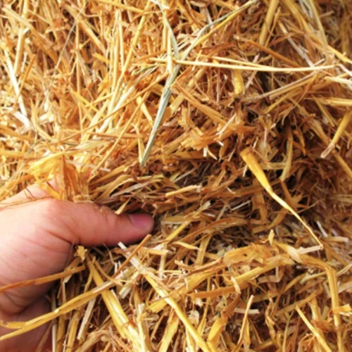 Wheat straws made from stems